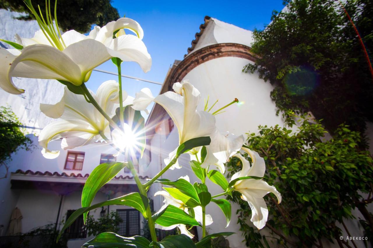 Casa Del Siglo Xvii Ferienhaus *